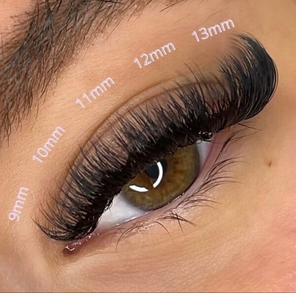 Lash Russian Volume Extensions